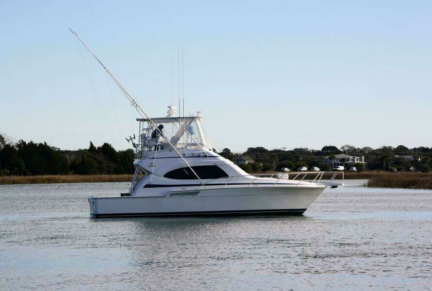 Bertram 39 Lineage- Profile