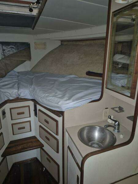 1982 Bertram 38 Convertible