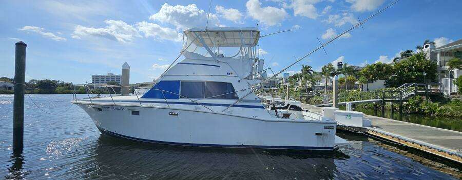 1982 Bertram 38 Convertible