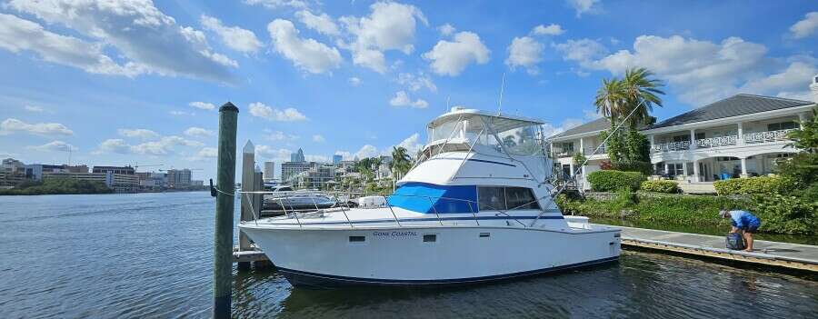 1982 Bertram 38 Convertible