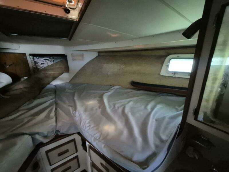 1982 Bertram 38 Convertible