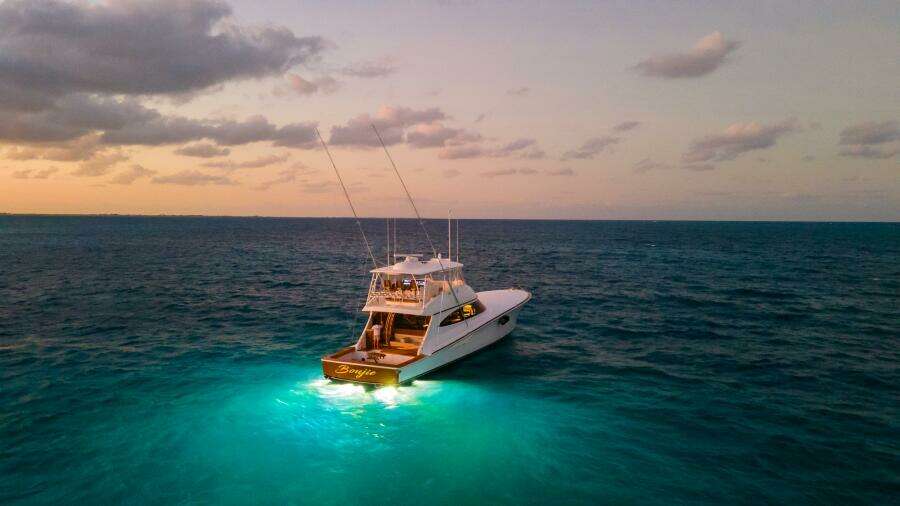 2025 82 Viking Convertible Boujie Exterior Photos (17)