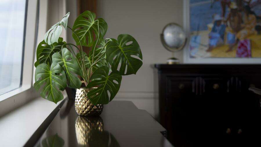 1975 Stephens Brothers 