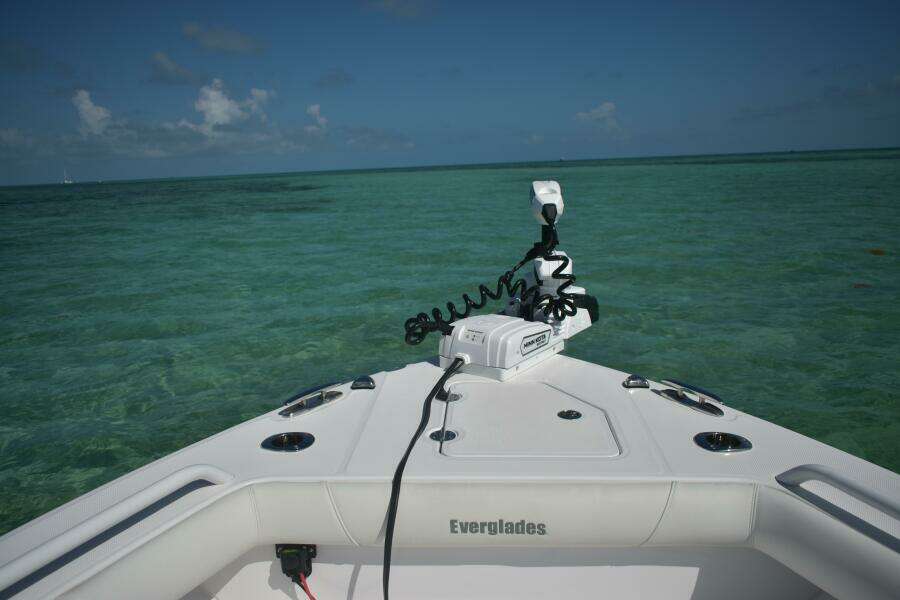 2025 Everglades 273 cc