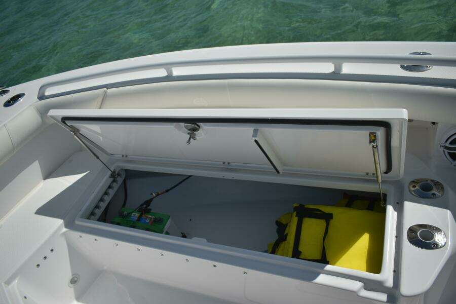 2025 Everglades 273 cc