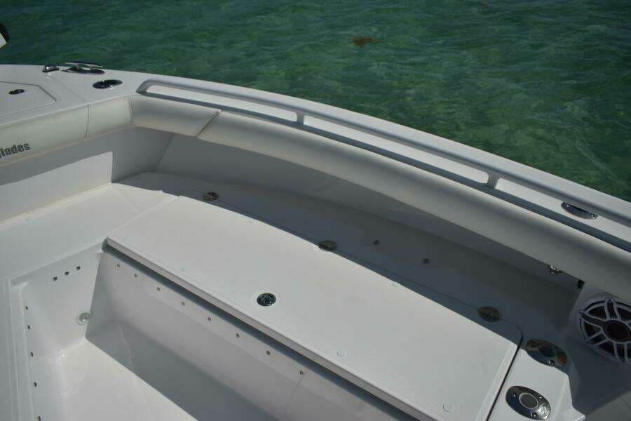 2025 Everglades 273 cc