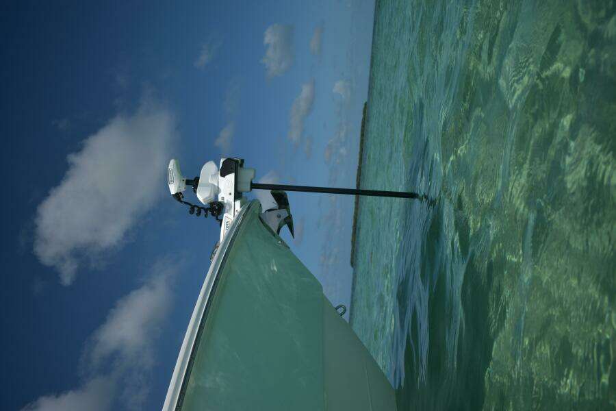 2025 Everglades 273 cc