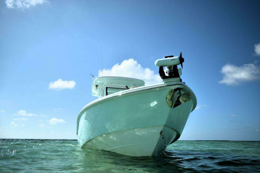 2025 Everglades 273 cc