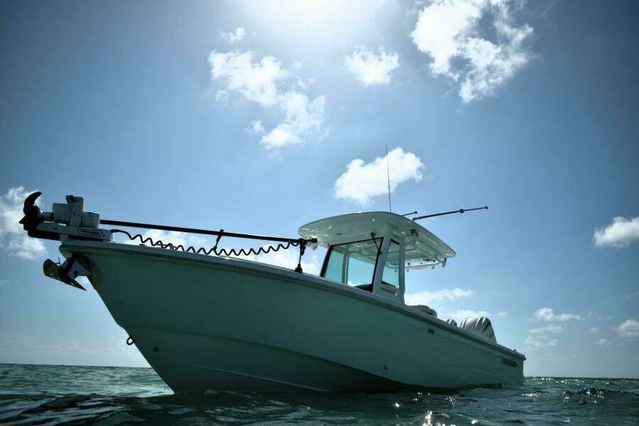 2025 Everglades 273 cc