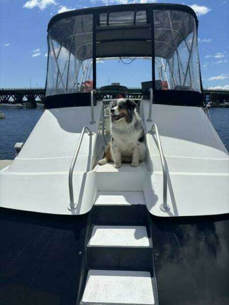 Bow Access To Flybridge