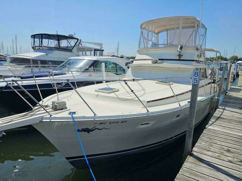 1977 Viking 43 Aft Cabin