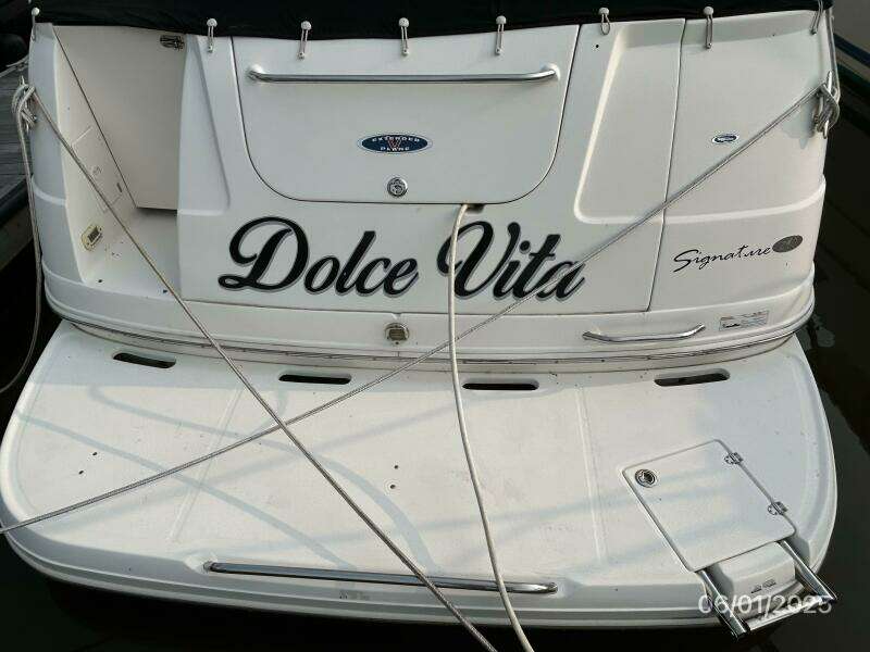 29' Chaparral swimplatform