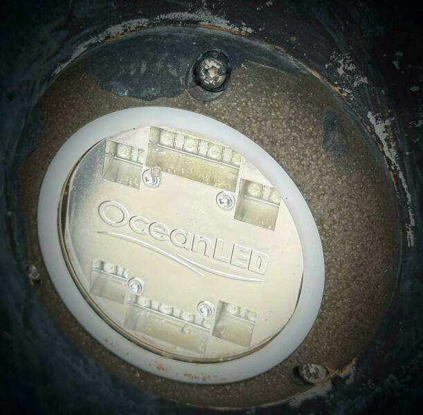 2019 Sea Ray 350 Sundancer