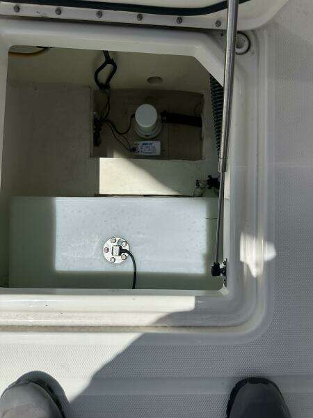 2024 World Cat 280CCX