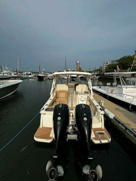 2019 Scout Dorado 255