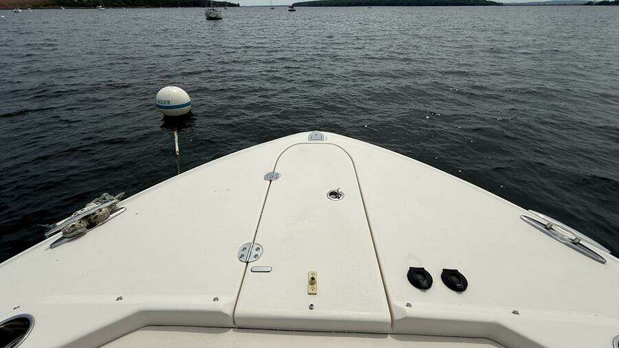 2016 Grady-White 307 Freedom