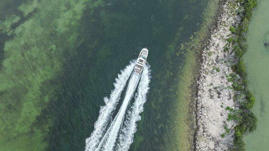 2021 Sea Ray 320 DA-OB