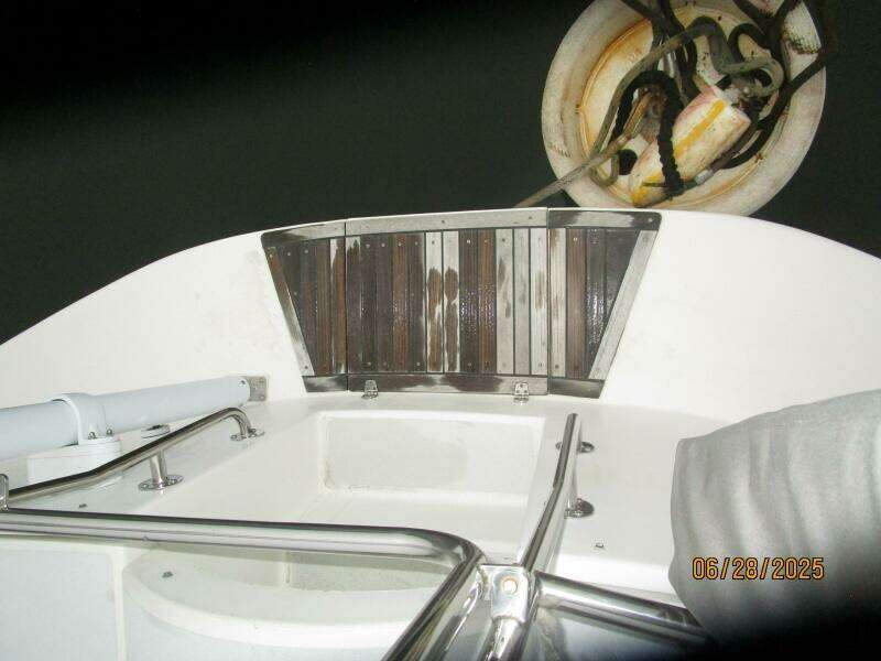 40' Freedom swimplatform