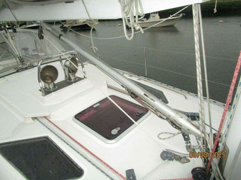 40' Freedom boom vang1