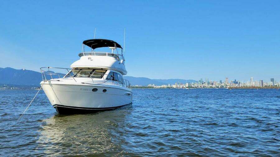 2005 Meridian Meridian 341