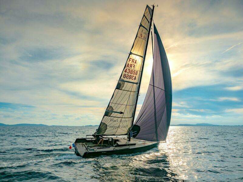 2025 Black Pepper Code#