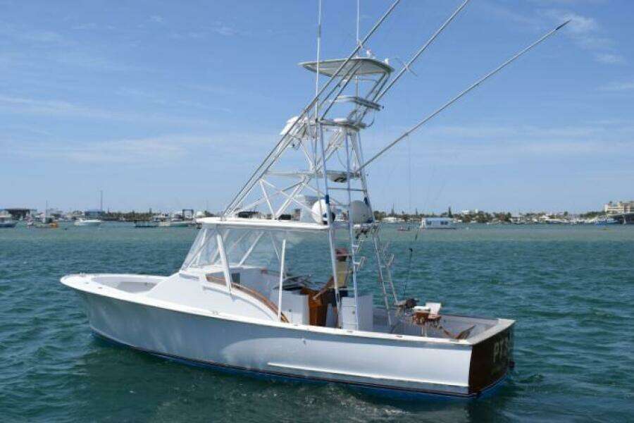 1988 Rybovich Express Walkaround