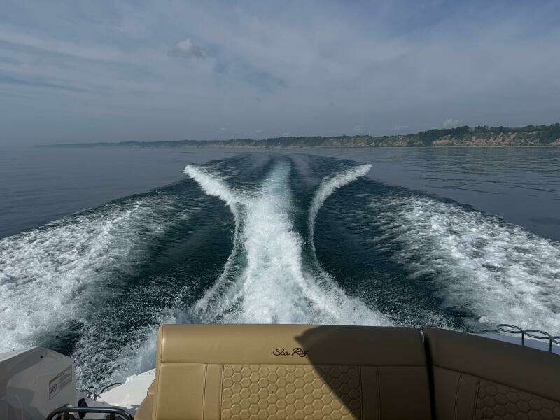 2019 Sea Ray 320 Sundancer