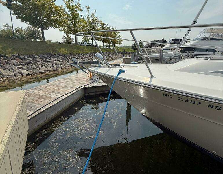 1989 Sea Ray 460 Express Cruiser
