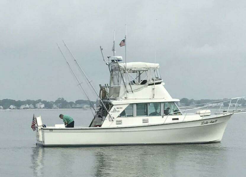 1984 Henriques Maine Coaster