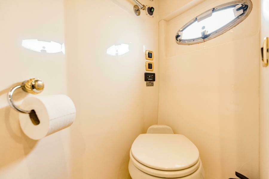 2004 Carver 56 Voyager Sonshine