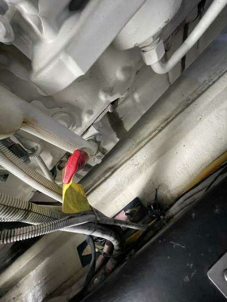 2004 Carver 56 Voyager Sonshine