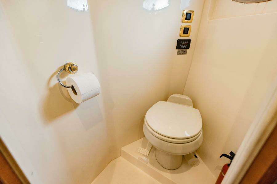 2004 Carver 56 Voyager Sonshine