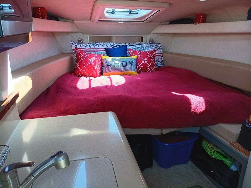 2010 Sea Ray 260 Sundancer