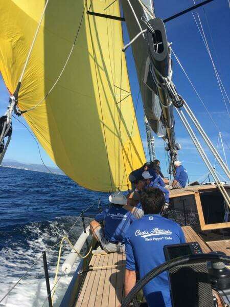 2026 Black Pepper Code 2