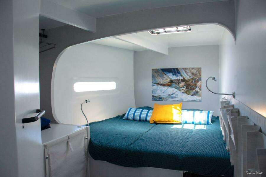 2026 Black Pepper Code 3