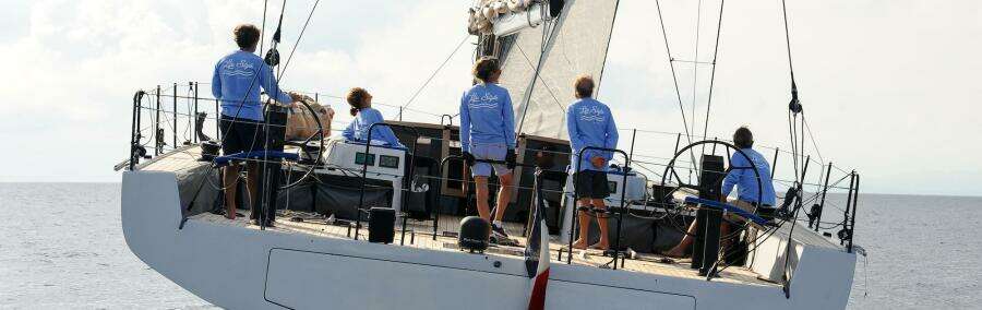 2026 Black Pepper Code 3