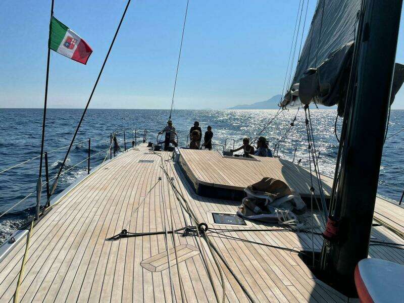 2026 Black Pepper Code 3