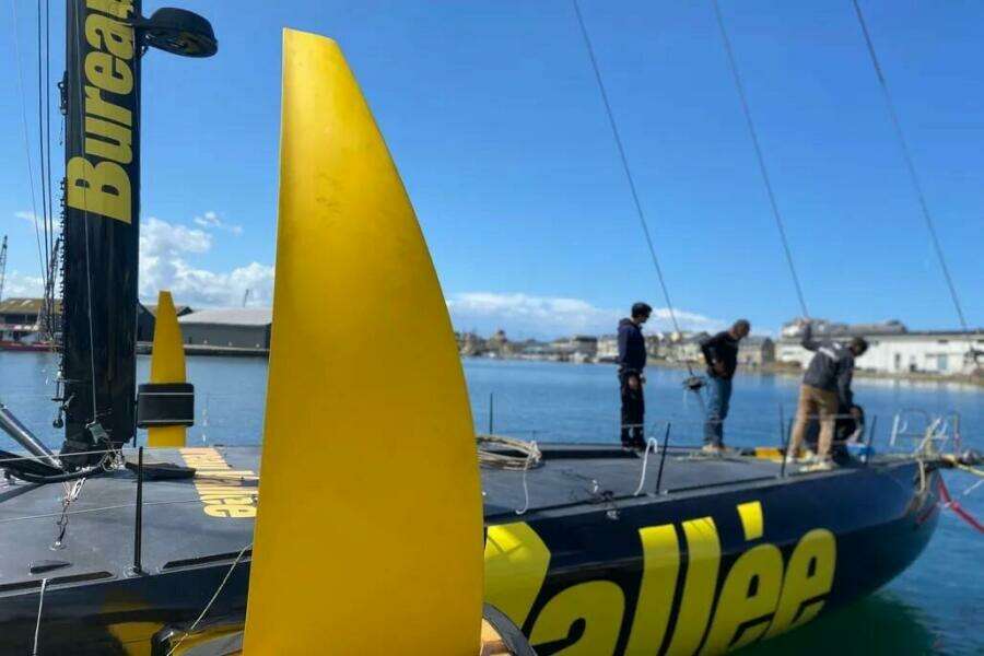 2026 Black Pepper Imoca