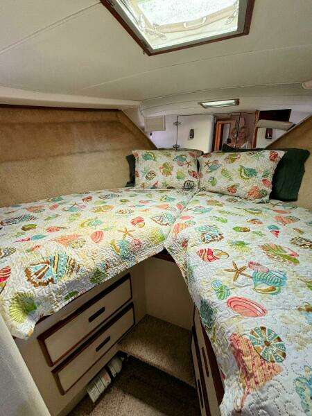 1977 Bertram 42 Motor Yacht