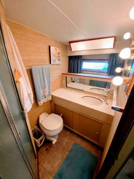 1977 Bertram 42 Motor Yacht