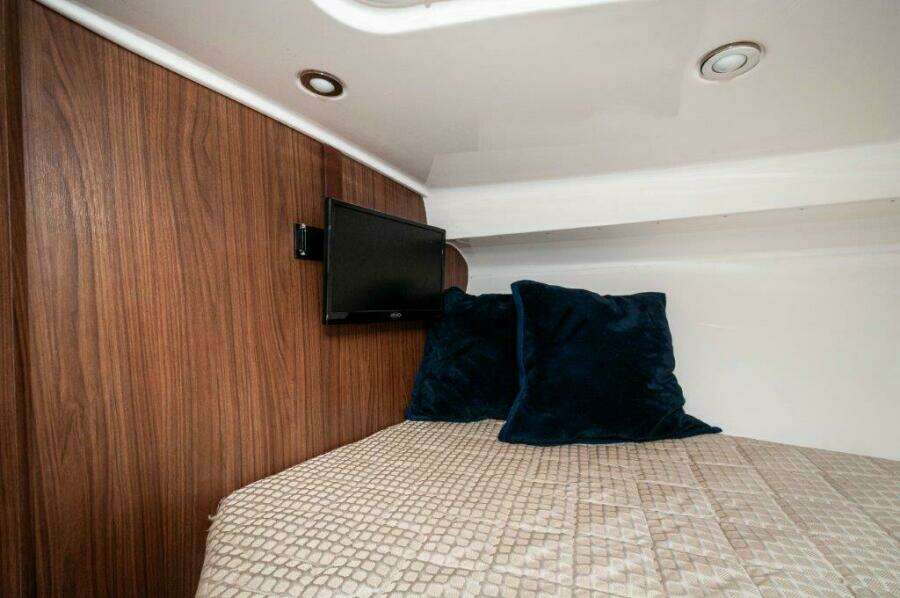 2018 Everglades 350 LX- Cuddy