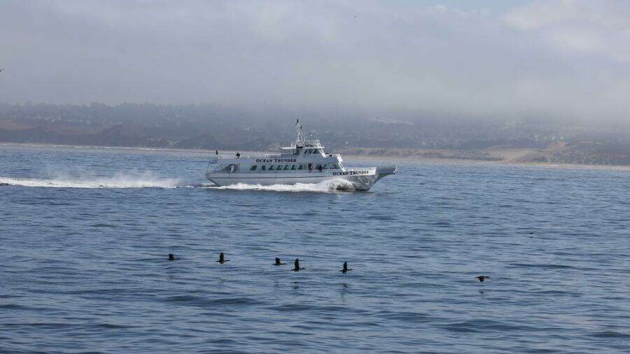 1986 Gulf Craft Passenger