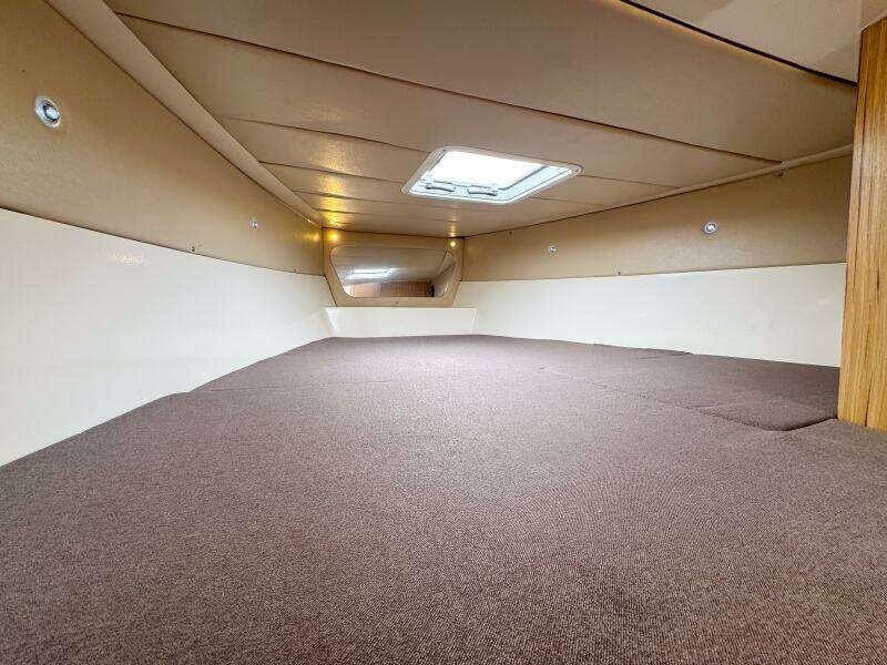 2023 Tender Impetus 36