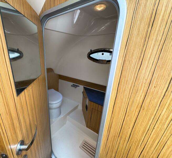 2023 Tender Impetus 36