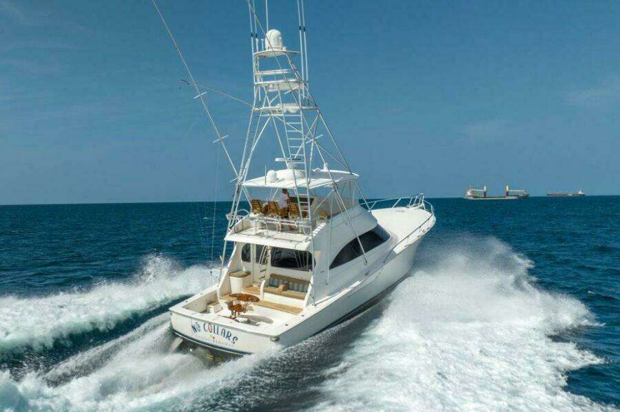 2015 Viking 66 No Collars - Profile