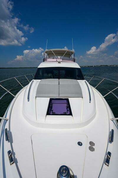 Princess F49 Chill- Bow