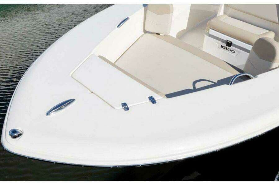 2026 Scout 195 Sportfish