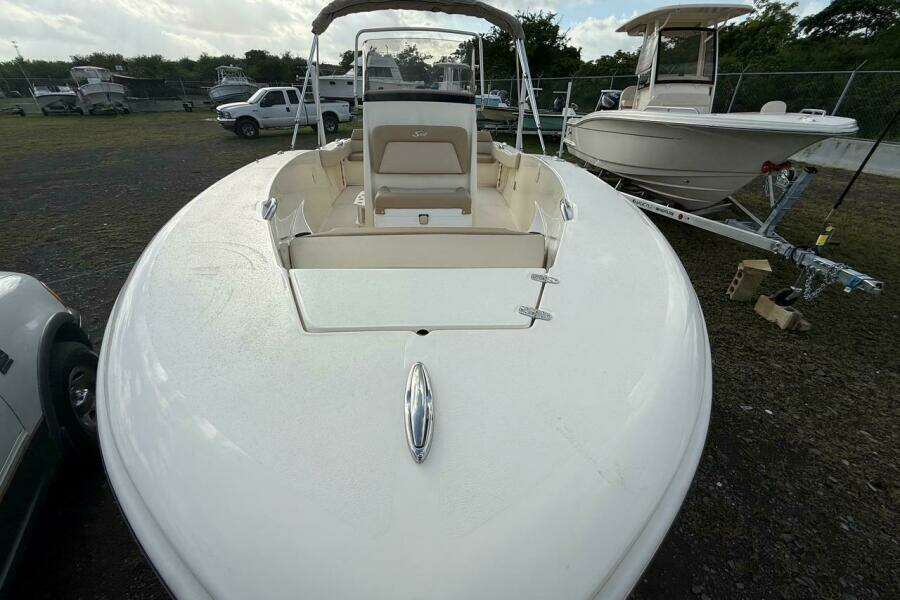 2026 Scout 195 Sportfish