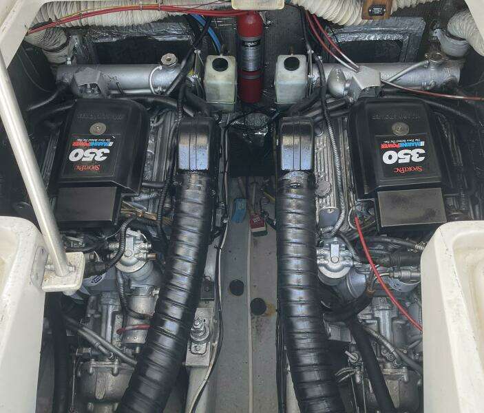 1993 Luhrs Tournament 290 Open