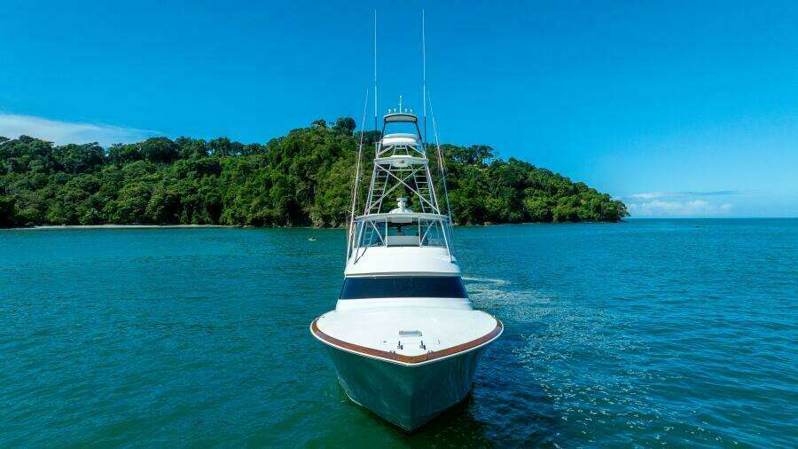 2017 62 Viking Convertible - Offensive